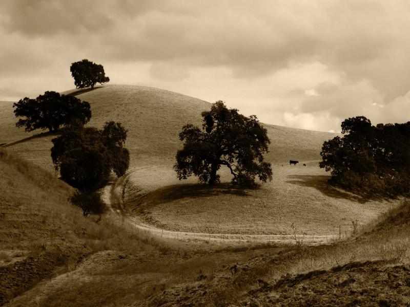 sudoku diagonal variant screenshot 1