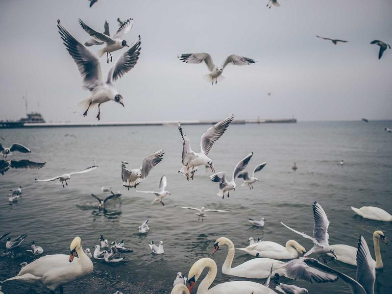 sudoku skill improvement screenshot 6